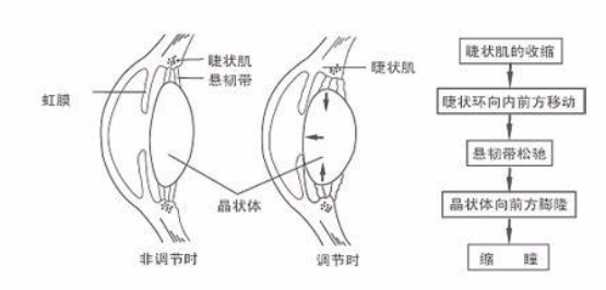 图片13.png